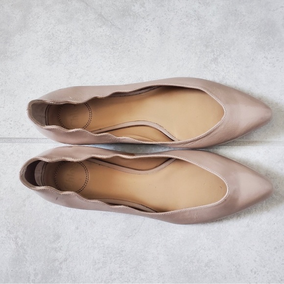 Chloe pointed flats - Picture 9 of 9